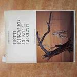 DETTI E PROVERBI DI TUTTE LE GENTI 2 zarina rinaldi 1986 EDIZIONI LANDONI