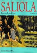 Saliola il paziente pellegrino del sogno