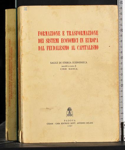 Formazione e trasformazione dei sistemi economici in Europa - Manca - copertina
