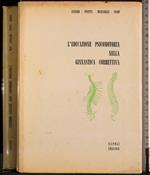 L' educazione psicomotoria nella ginnastica correttiva