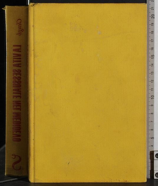 vita sessuale nel Medioevo - James Clough - copertina