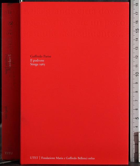 Premio Strega 1965. Il padrone - Goffredo Parise - copertina