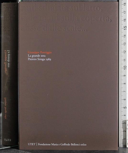 Premio Strega 1989. La grande sera - Giuseppe Pontiggia - copertina