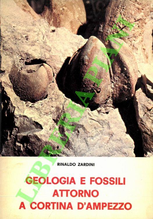 Geologia e fossili attorno a Cortina d'Ampezzo