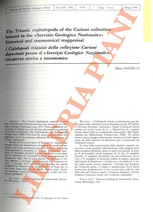 The Triassic Cephalopods of the Curioni collection housed in the “Servizio Geologico Nazionale”: historical and taxonomical reappraisal. I Cefalopodi triassici della collezione Curioni depositati presso il “Servizio Geologico Nazionale”: riscoperta stori