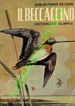 Il beccaccino.