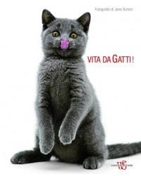 Vita Da Gatti!
