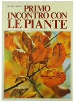 PRIMO INCONTRO CON LE PIANTE  [1a edizione - come nuovo] - Magrini Gigliola. - Giunti-Nardini, - 1978