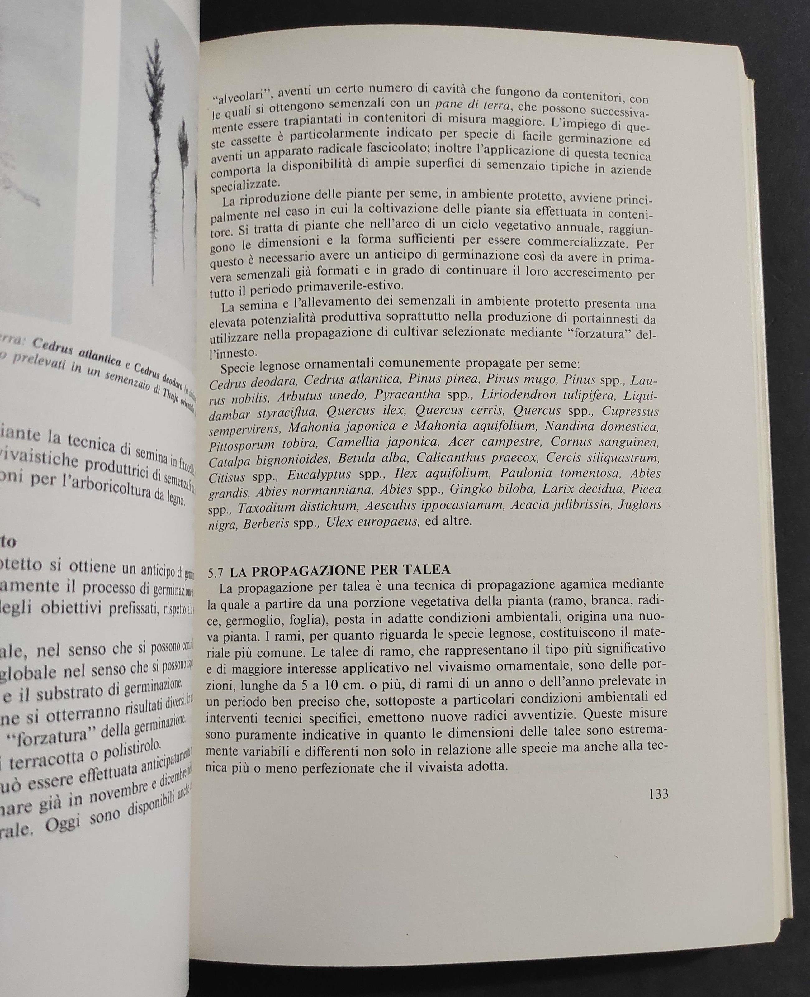 Vivaistica Ornamentale - C. Vezzosi - Ed. Agricole - 1990