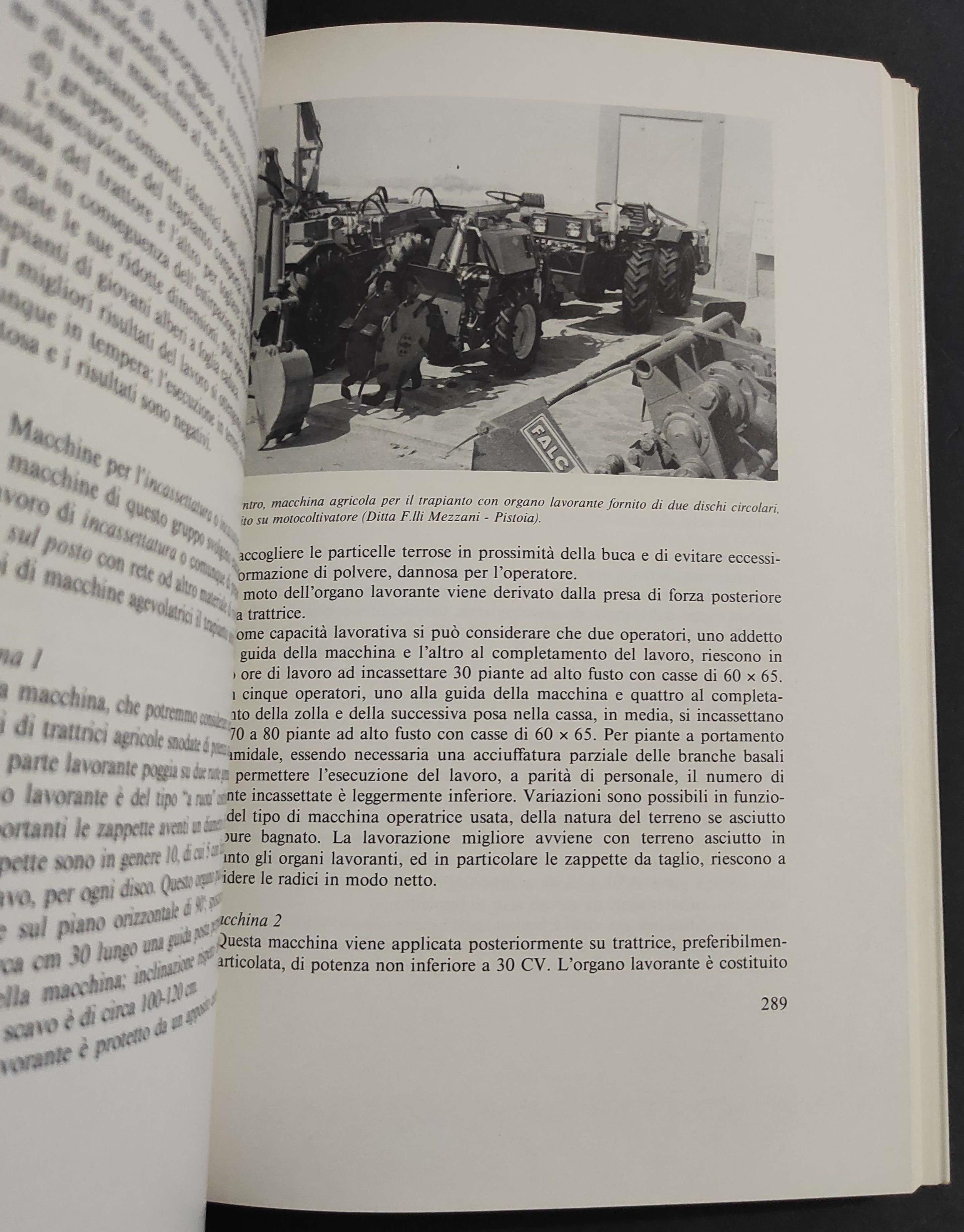 Vivaistica Ornamentale - C. Vezzosi - Ed. Agricole - 1990