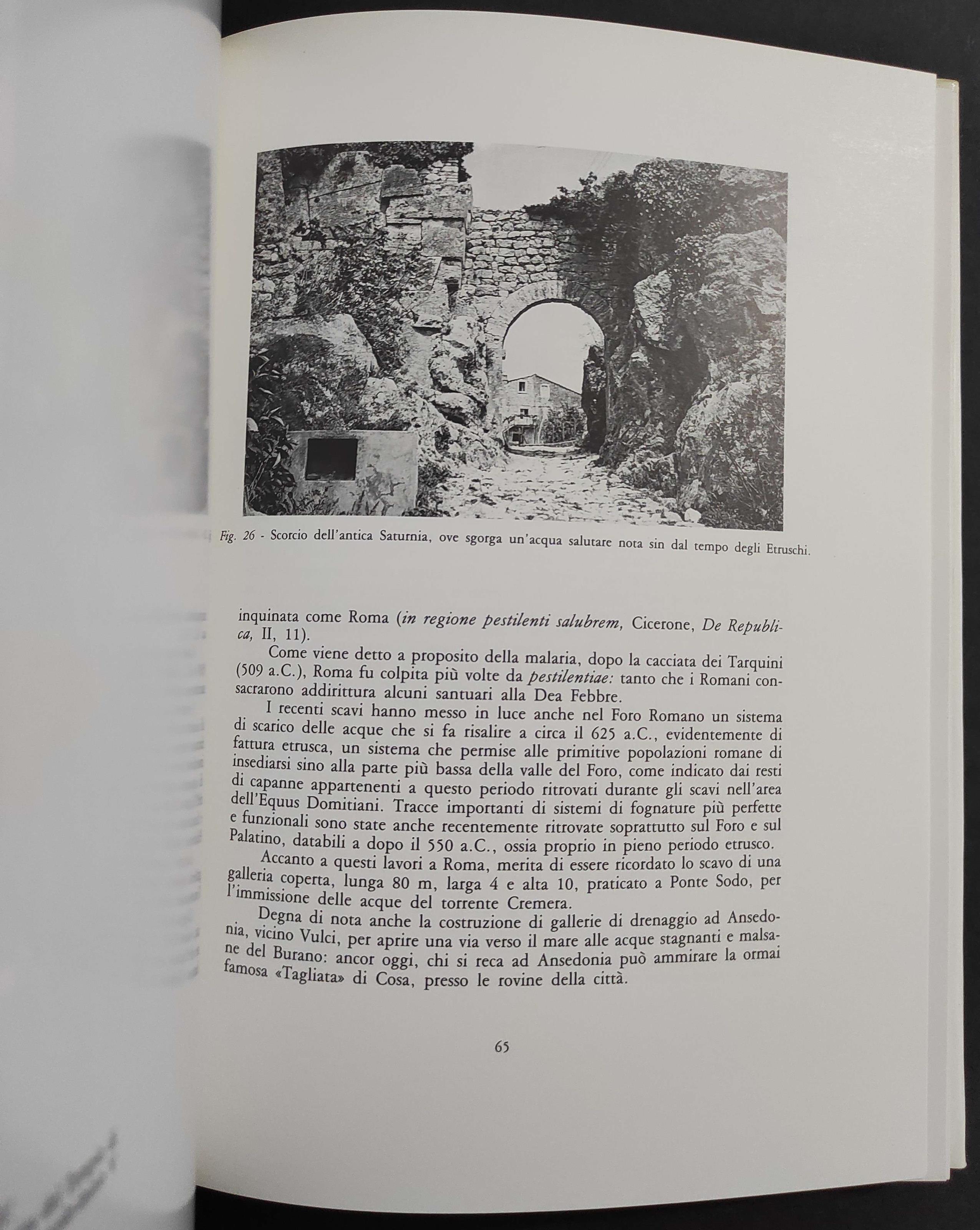 Medicina Etrusca - Demoiatria di un'Antica Civiltà - L. Sterpellone - Ed. Ciba-Geigy - 1990