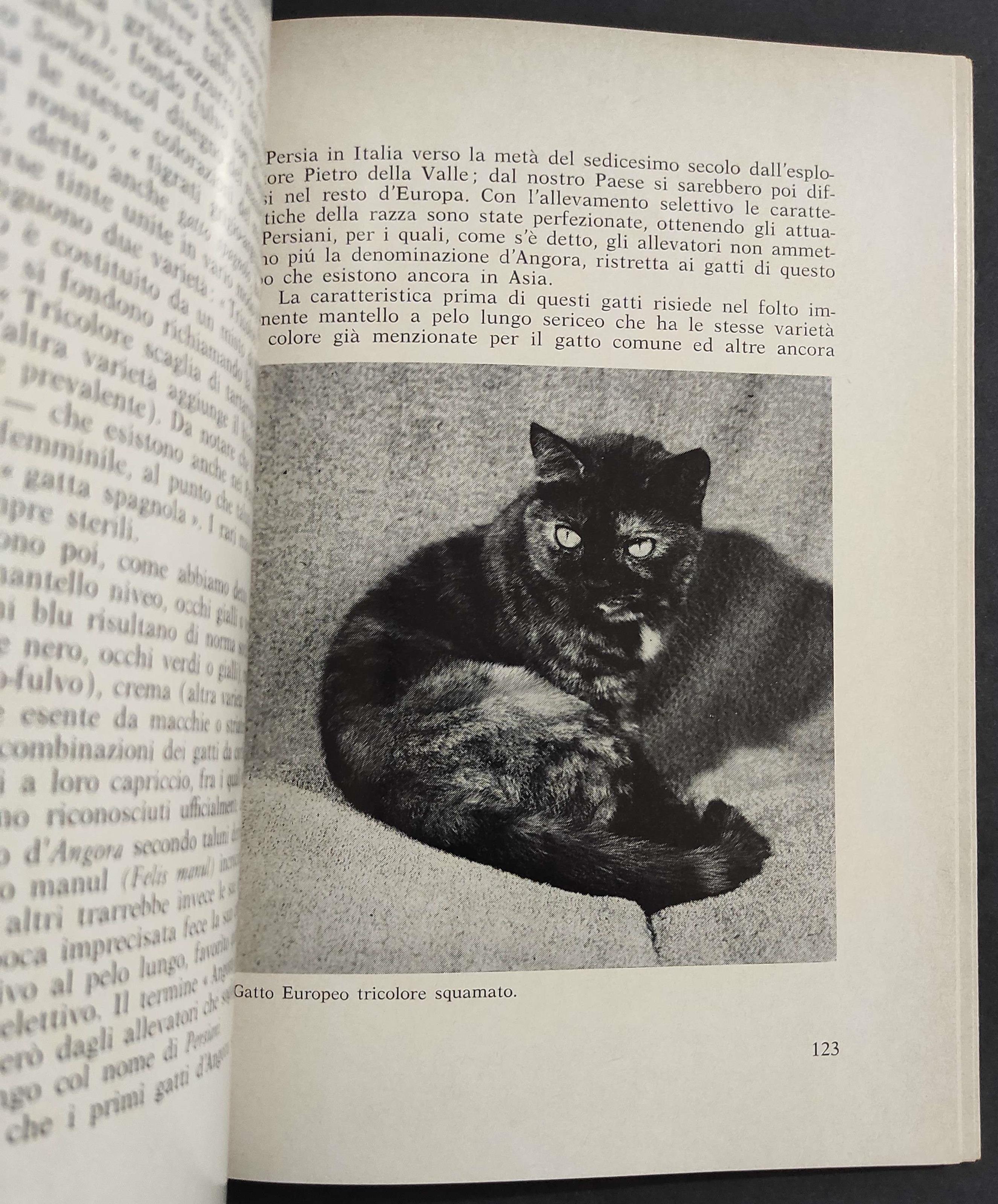 Manuale Pratico per gli Amici del Gatto - V. Manassé - Ed. Encia - 1973