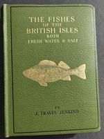 The Fishes of the British Isles Both Fresh Water & Salt - J. T. Jenkins - Ed. Frederick Warne - 1946