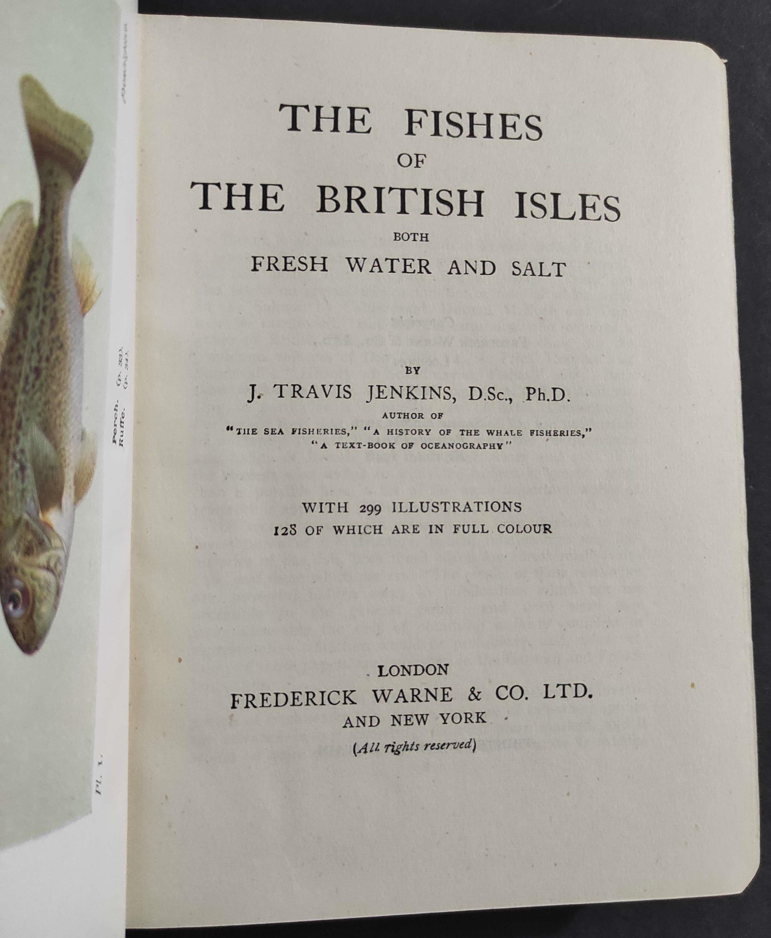 The Fishes of the British Isles Both Fresh Water & Salt - J. T. Jenkins - Ed. Frederick Warne - 1946