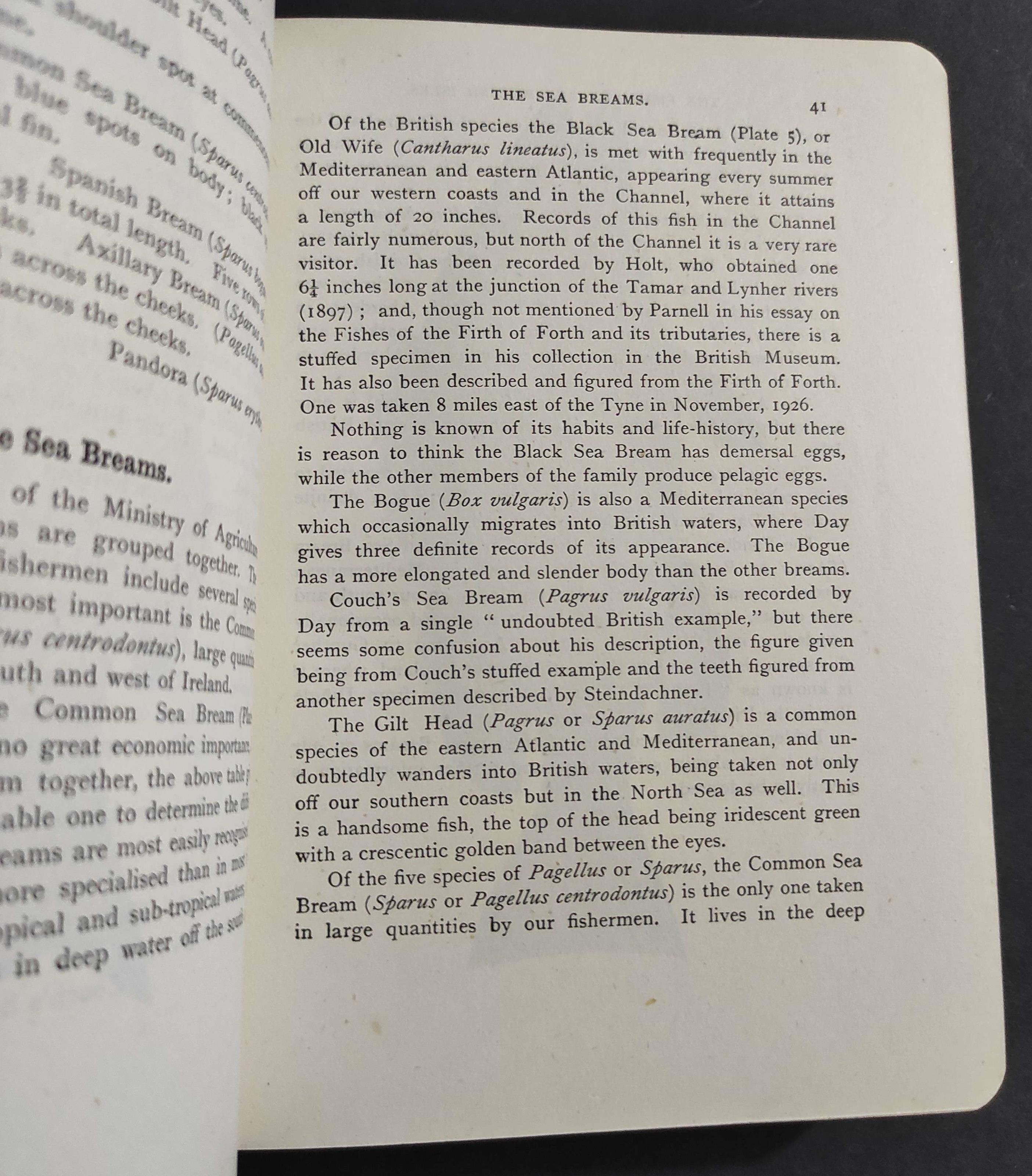 The Fishes of the British Isles Both Fresh Water & Salt - J. T. Jenkins - Ed. Frederick Warne - 1946