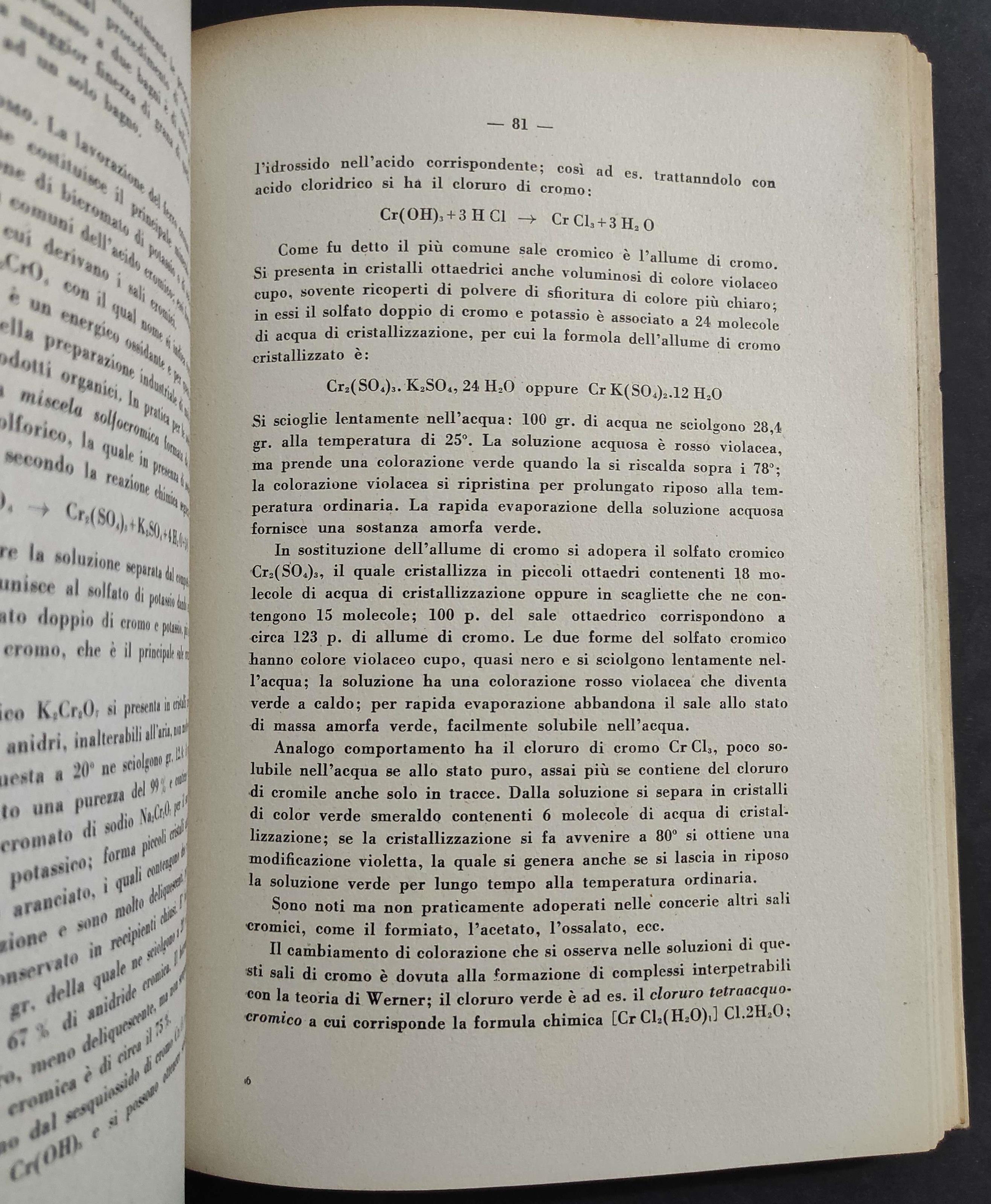 Il Cuoio - Concia - Tintura - Rifinitura - G. Salomone - Ed. Lavagnolo - 1951
