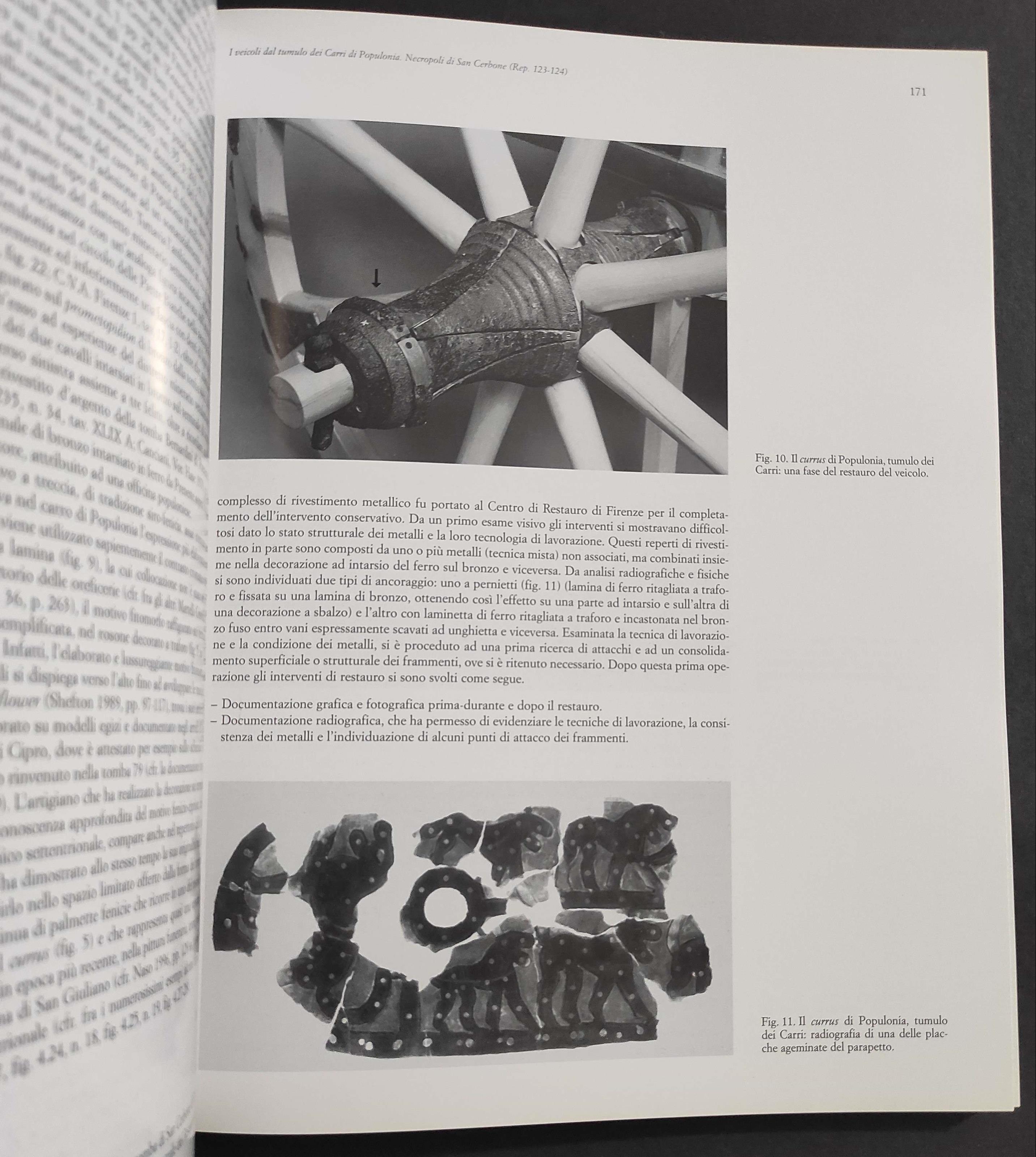 Carri da Guerra e Principi Etruschi - A. Emiliozzi - Ed. l'Erma di Bretschneider - 1999