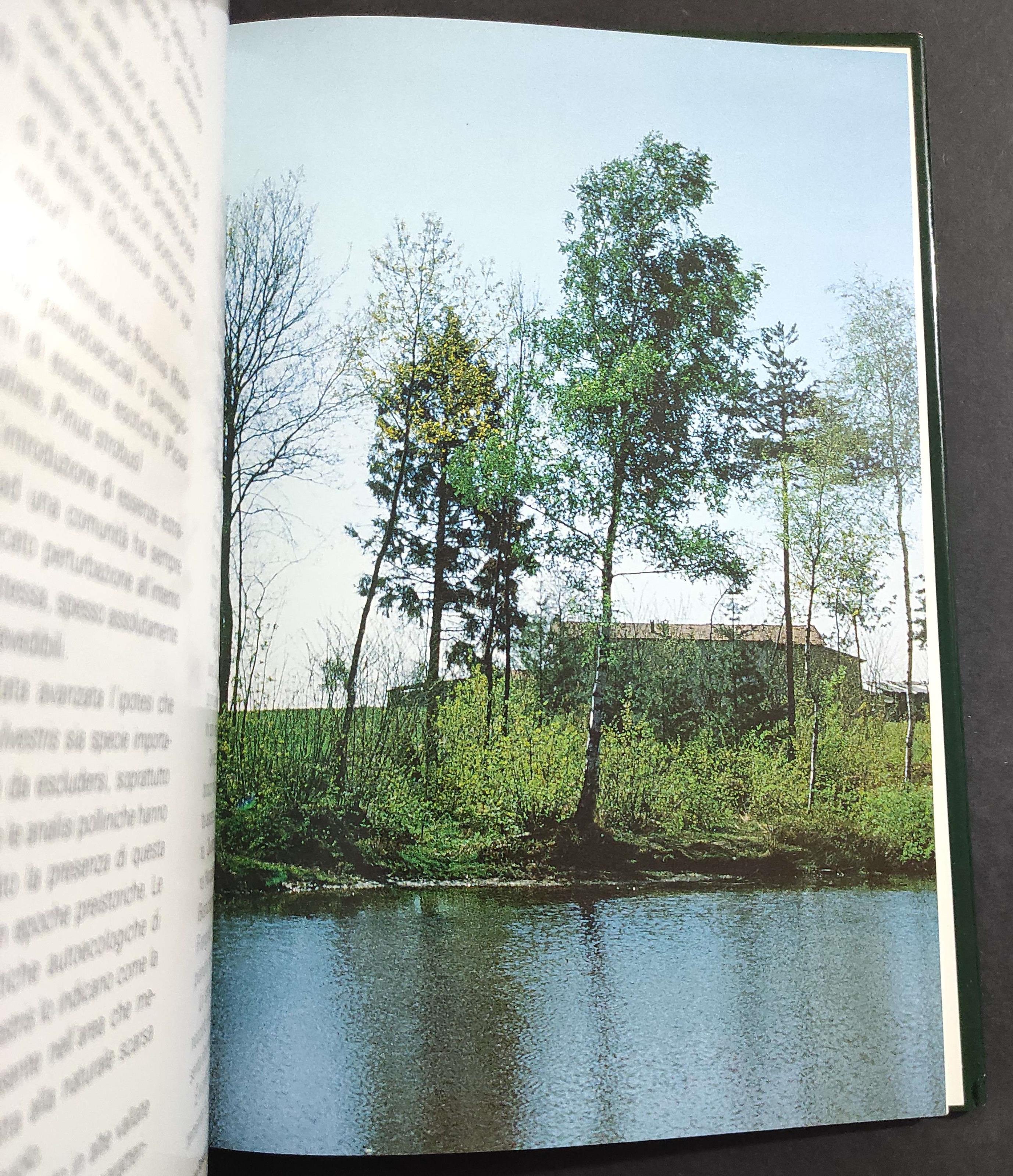 Pineta - Ecosistema della Pineta di Tradate e Appiano Gentile - Ed. Motta - 1984
