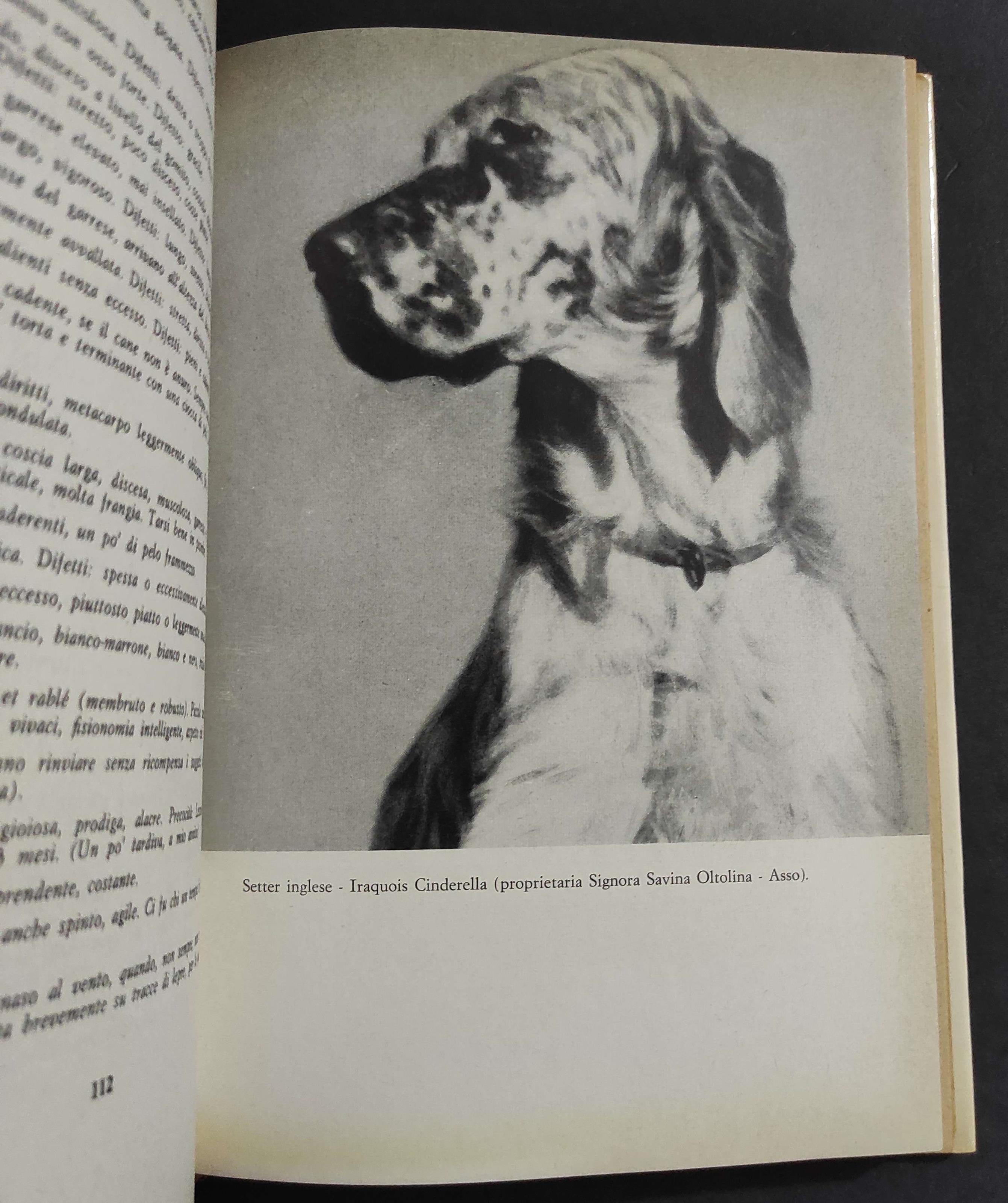 I Cani da Caccia - Parte Terza - G. Colombo - Ed. Novarco - 1963
