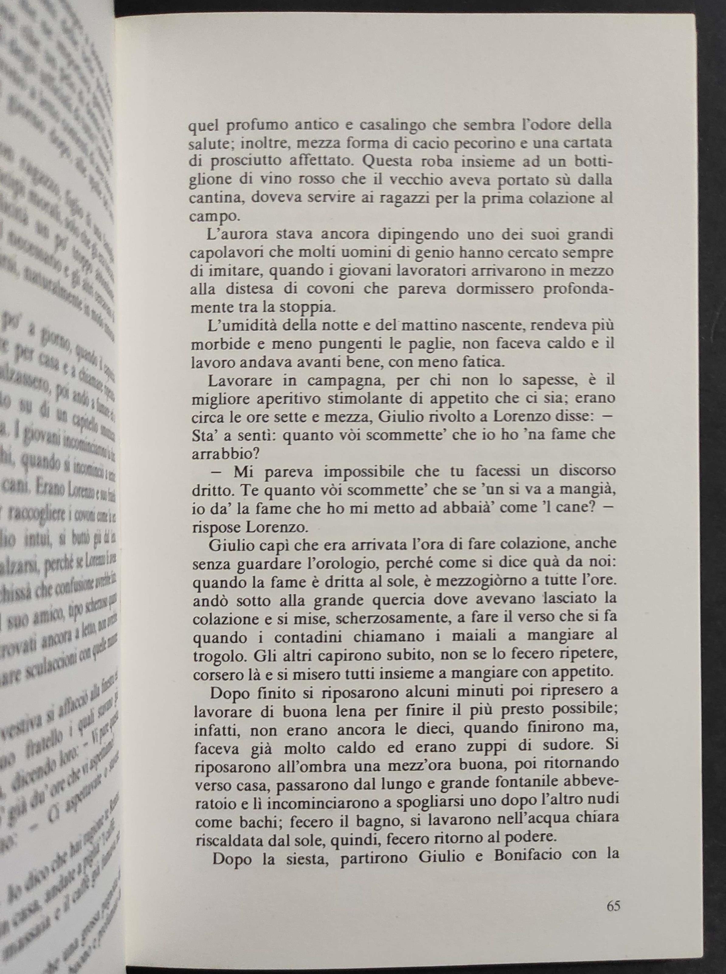 Maremmani Buggiaroni - M. Vergari - Ed. Tellini - 1990
