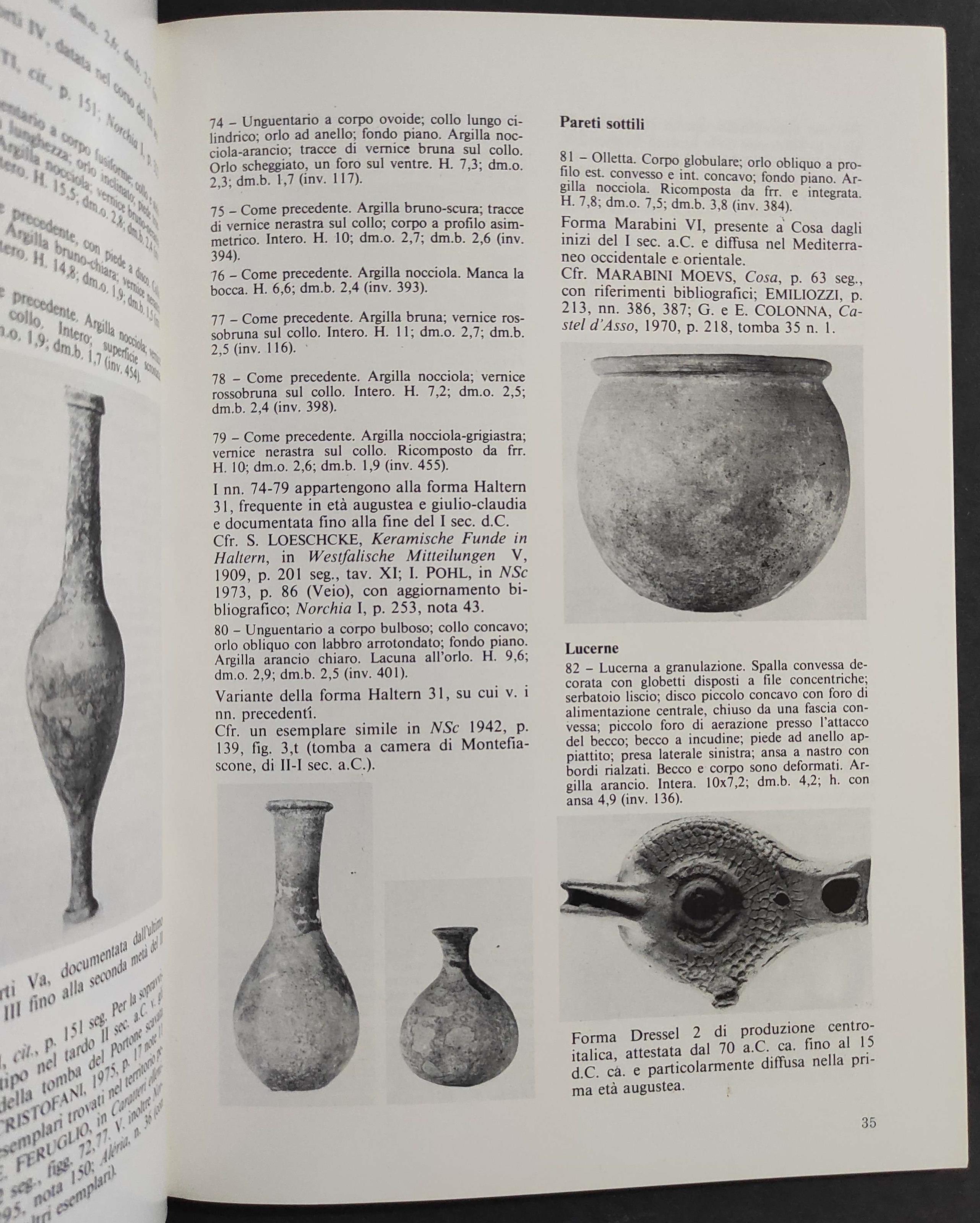 Museo Civico di Asciano - I Materiali da Poggio Pinci - E. Mangani - Ed. Vision/Viella - 1983