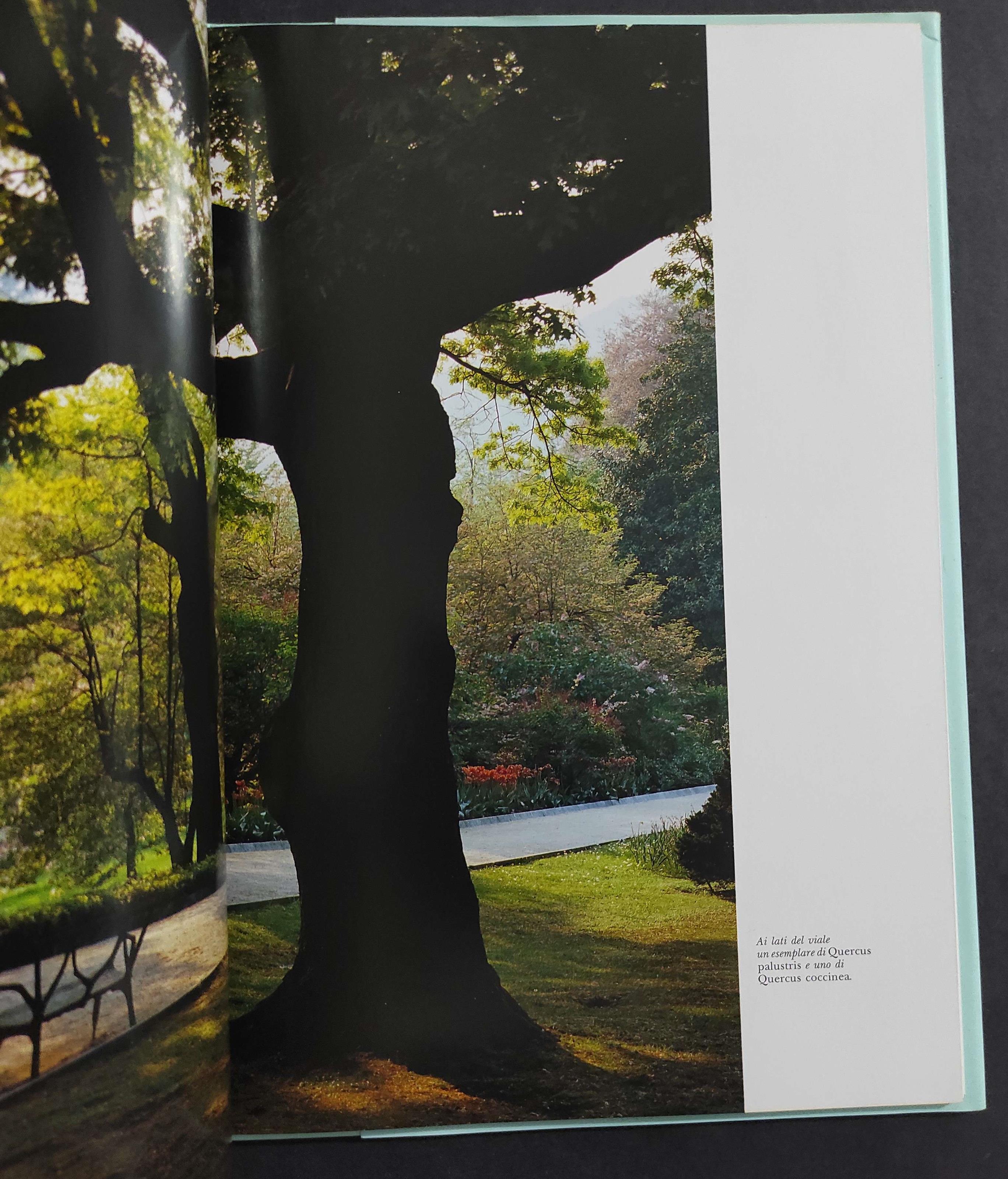 Villa Taranto - Il Giardino del Capitano Mcearcharn - C. Lodari - Ed. Allemandi - 2004