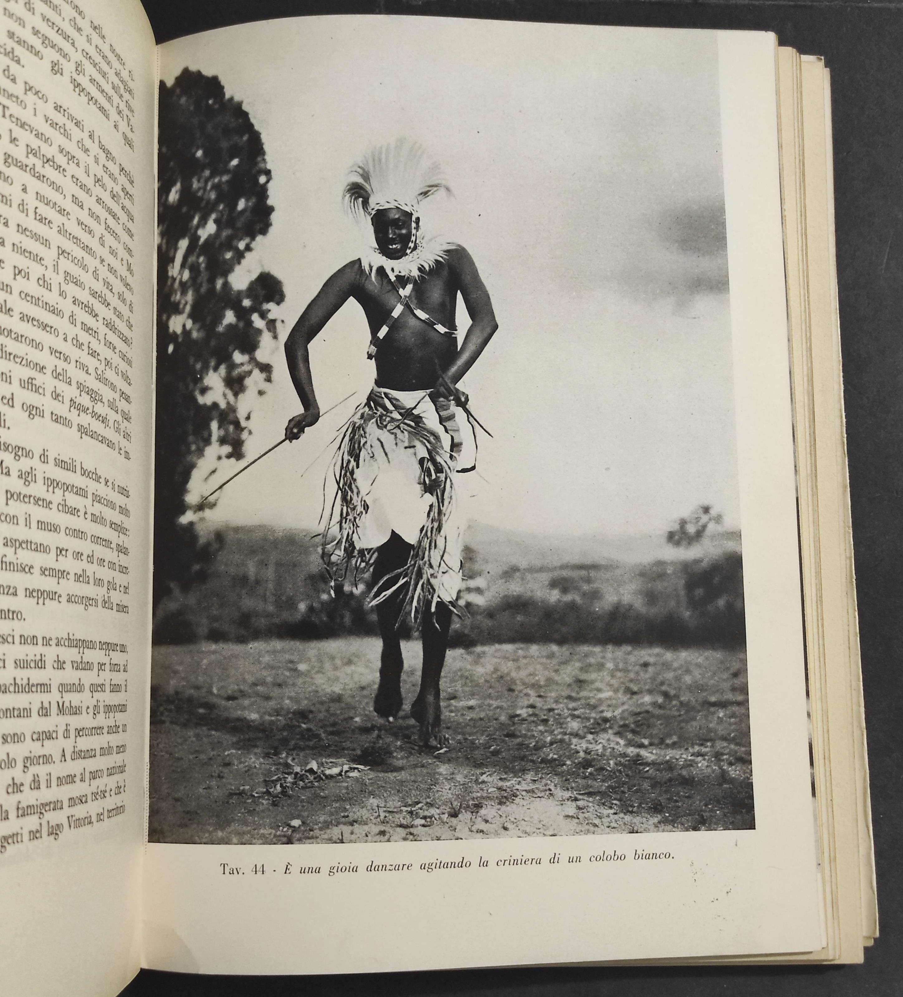 Prodigioso Congo - F. Bellotti - Ed. Leonardo Da Vinci - 1952