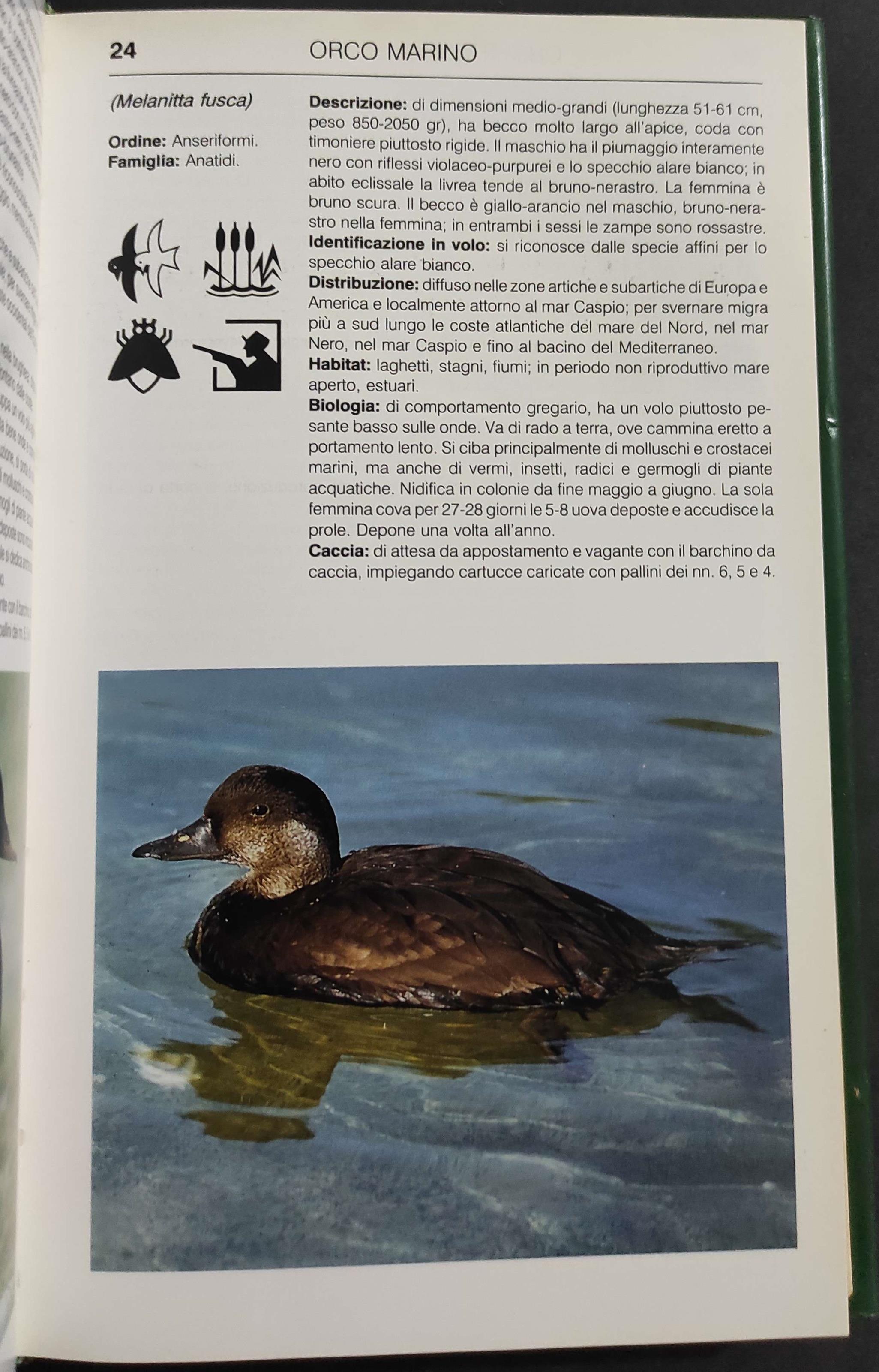 Caccia in Europa - M. Spagnesi - Ed. Mondadori - 1993