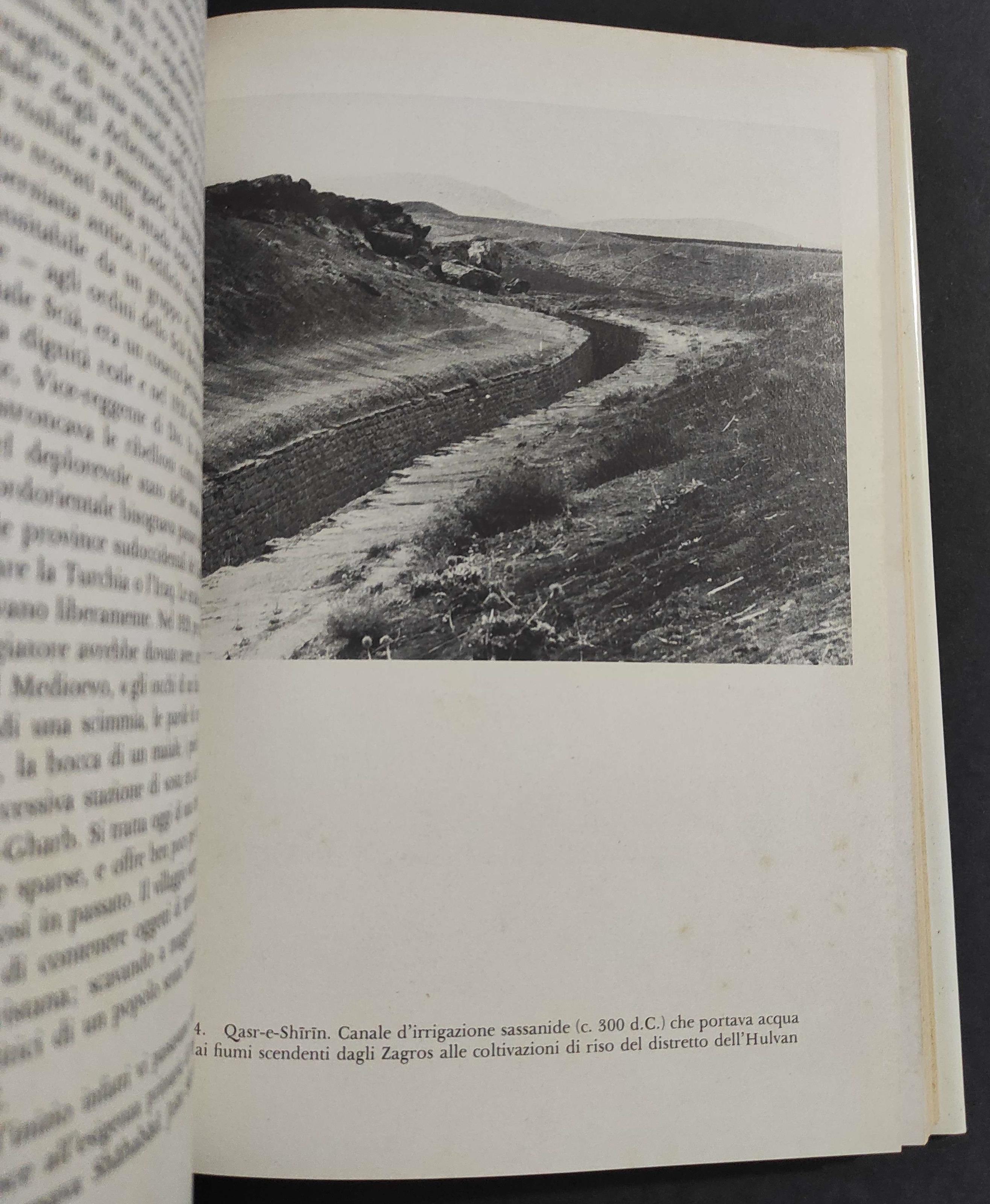 Strada dei Cancelli d'Oro - V. V. Hagen - Ed. Rizzoli - 1978