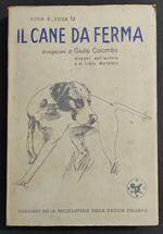 Il Cane da Ferma - G. Colombo - 1947 - Dedica
