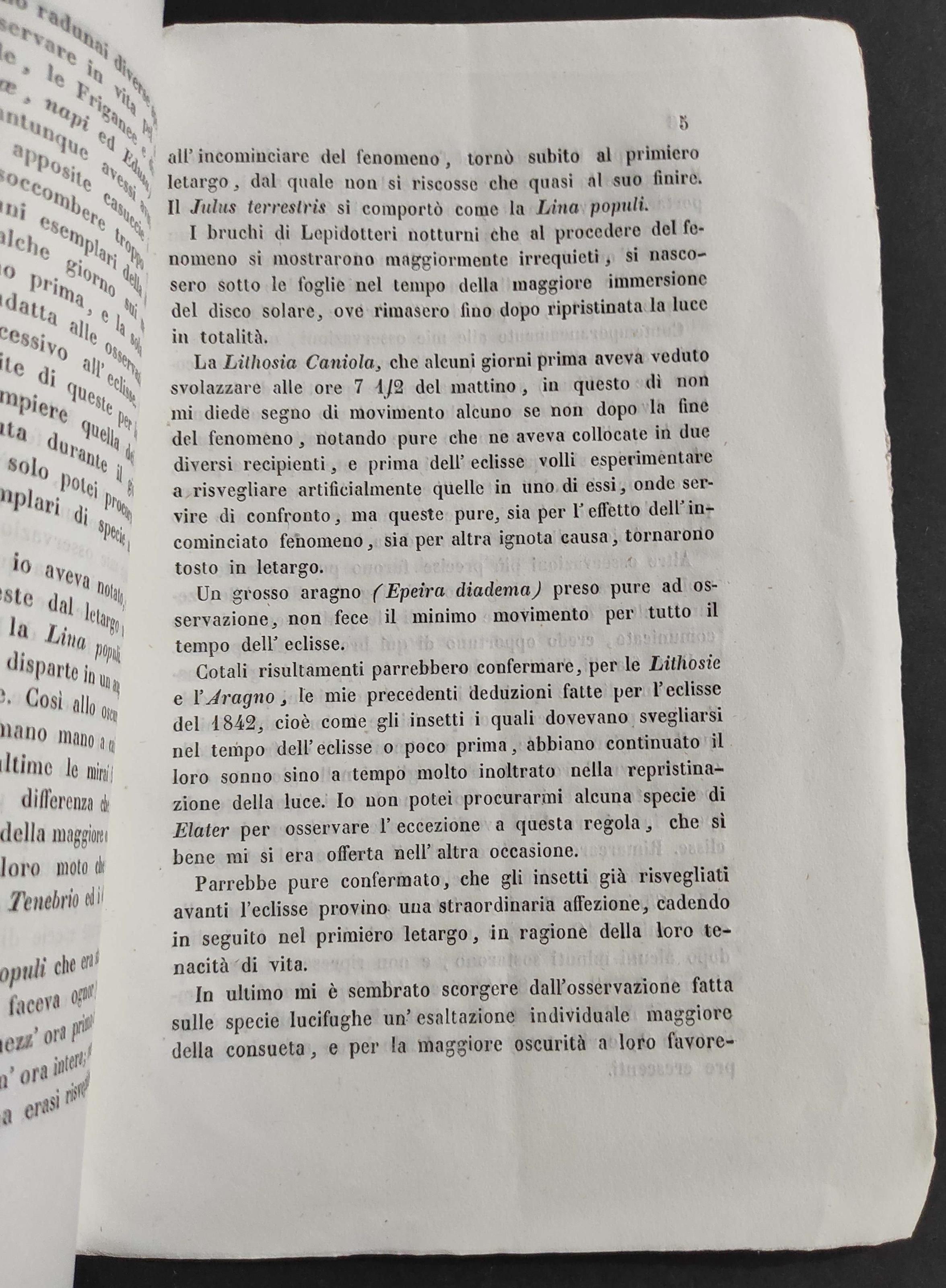 Osservazioni Entomologiche Durante l'Eclisse del 9 Ottobre 1847 - Memoria - 1848