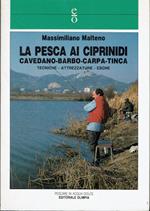 pesca ai ciprinidi - cavedano - barbo - carpa - tinca. Tecniche - attrezzature - esche