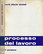 Processo del lavoro