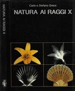 Natura ai raggi X ( Autografo )