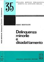 Delinquenza minorile e disadattamento