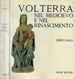 Volterra nel medioevo e nel rinascimento