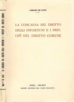 La concausa nel diritto degli infortuni e i principi del diritto comune