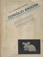 Coniglio Angora