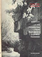La via Prenestina i suoi monumenti i suoi paesaggi