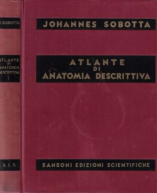 Atlante di Anatomia descrittiva dell'uomo I - Johannes Sobotta - copertina