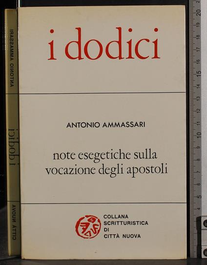 I dodici - Antonio Ammassari - copertina