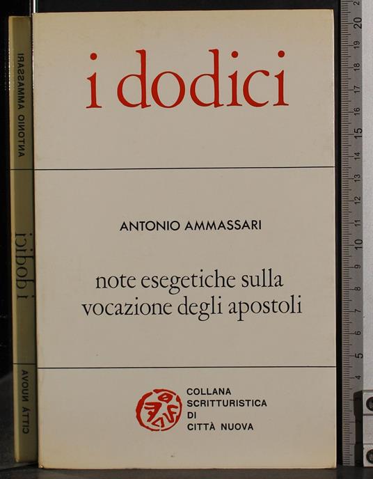 I dodici - Antonio Ammassari - copertina