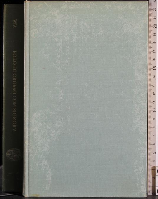 Foto di gruppo con signora - Heinrich Böll - copertina