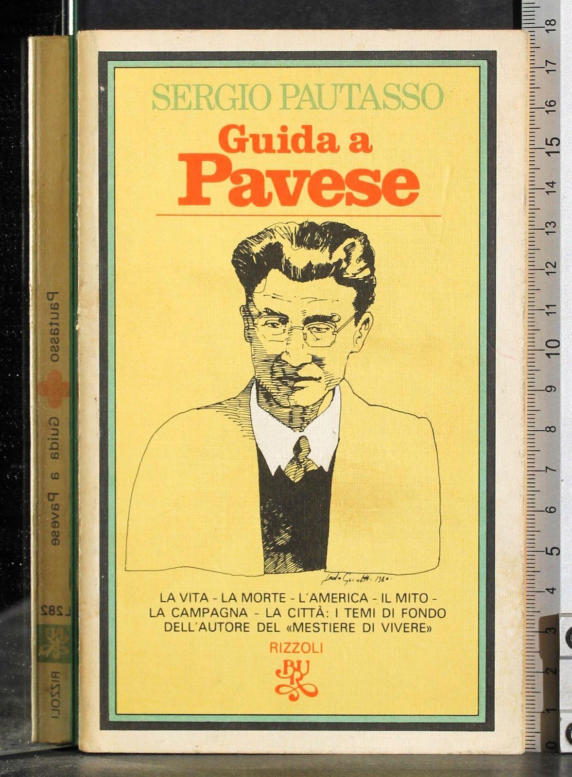 Guida a Pavese