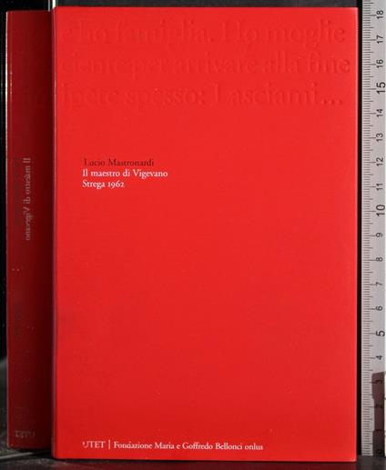 Il maestro di Vigevano - Lucio Mastronardi - copertina