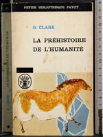 prehistoire de l'humanité