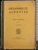 Gesammelte Aufsatze