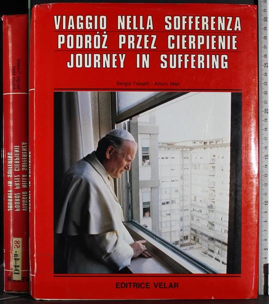 Viaggio nella sofferenza - copertina