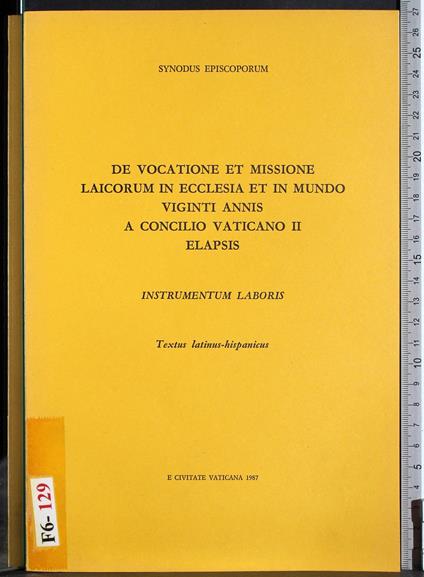 Vocatione et missione laicorum in ecclesia et mundo - copertina