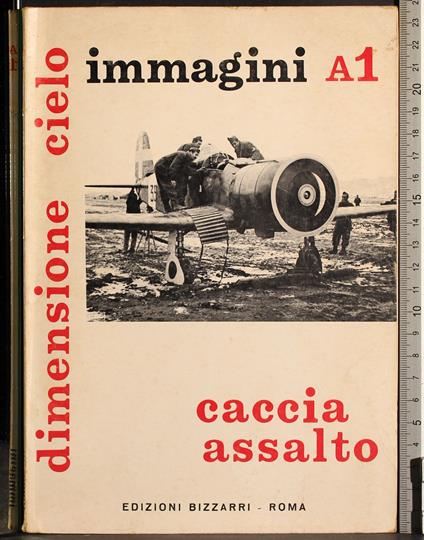 Dimensione cielo. Immagini A1. Caccia assalto - copertina